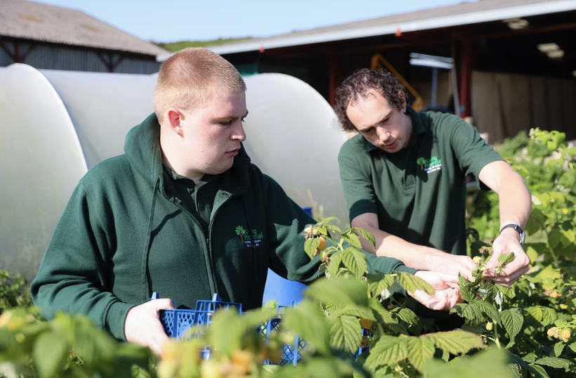 two volunteers working on the farm